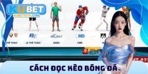 Cách đọc kèo bóng đá